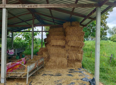 ลงพื้นที่ติดตามผลดำเนินโครงการสร้างมูลค่าเพิ่มจากวัสดุเหลือใช้ทางการเกษตร ปีงบประมาณ พ.ศ. 2568 พื้นที่จังหวัดมหาสารคาม ... พารามิเตอร์รูปภาพ 14